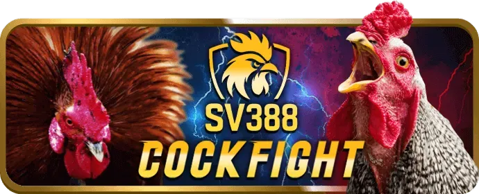 Chơi có trách nhiệm với kubet77 app
